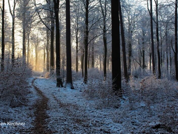 Naturfotografie – Landschaftsaufnahmen